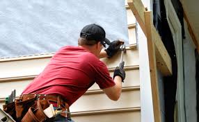 Best Fascia and Soffit Installation  in Loughman, FL